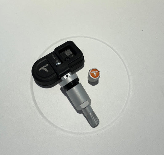 TrackPulse Internal TPMS Sensors